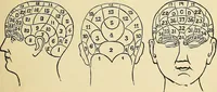 An illustration from A new illustrated hand-book of phrenology, physiology and physiognomy (1878)