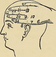 An illustration from A new illustrated hand-book of phrenology, physiology and physiognomy (1878)