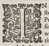 An illustration from The new life of Virginea: : declaring the former successe and present estate of that plantation, being the second part of Noua Britannia. (1612)