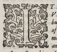An illustration from The new life of Virginea: : declaring the former successe and present estate of that plantation, being the second part of Noua Britannia. (1612)