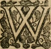 An illustration from A new light of alchymie : taken out of the fountaine of nature, and manuall experience : to which is added a treatise of svlphvr (1650)