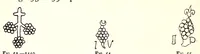 An illustration from A new light on the renaissance displayed in contemporary emblems (1909)