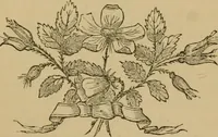 An illustration from Newman's manual of harmonious coloring, as applied to photographs : together with valuable papers on lighting and posing the sitter (1866)