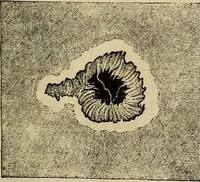 An illustration from A new manual of the elements of astronomy, descriptive and mathematical .. (1868)