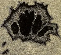 Picture 55 of 105 from A new manual of the elements of astronomy, descriptive and mathematical .. (1868), leaf 111
