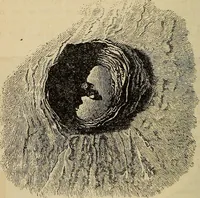 An illustration from A new manual of the elements of astronomy, descriptive and mathematical .. (1868)