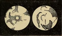 An illustration from A new manual of the elements of astronomy, descriptive and mathematical .. (1868)
