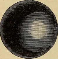 Picture 83 of 105 from A new manual of the elements of astronomy, descriptive and mathematical .. (1868), leaf 181