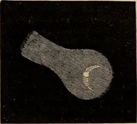 An illustration from A new manual of the elements of astronomy, descriptive and mathematical .. (1868)