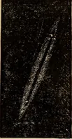 An illustration from A new manual of the elements of astronomy, descriptive and mathematical .. (1868)
