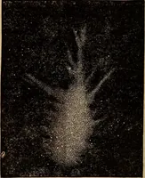 An illustration from A new manual of the elements of astronomy, descriptive and mathematical .. (1868)