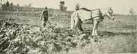 An illustration from The new and old immigrant on the land; a study of Americanization and the rural church (1922)
