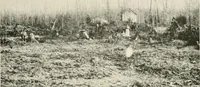 An illustration from The new and old immigrant on the land; a study of Americanization and the rural church (1922)