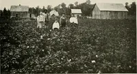 An illustration from The new and old immigrant on the land; a study of Americanization and the rural church (1922)
