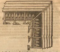 An illustration from A new orchard and garden, or, The best way for planting, grafting, and to make any ground good, for a rich orchard : particularly in the north ... , with The country housewifes garden for herbes of common vse ... as also the husbandry of bees ... (1623)