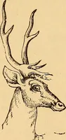 Picture 56 of 693 from New physiognomy (1867), leaf 100