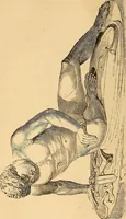 Picture 63 of 693 from New physiognomy (1867), leaf 111