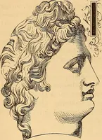 Picture 67 of 693 from New physiognomy (1867), leaf 117
