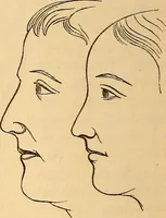 Picture 69 of 693 from New physiognomy (1867), leaf 119