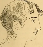 Picture 70 of 693 from New physiognomy (1867), leaf 120