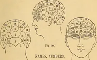 Picture 87 of 693 from New physiognomy (1867), leaf 138