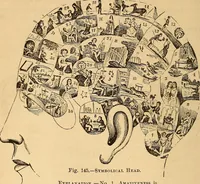 Picture 88 of 693 from New physiognomy (1867), leaf 139