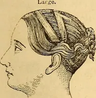 Picture 89 of 693 from New physiognomy (1867), leaf 140