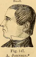 Picture 90 of 693 from New physiognomy (1867), leaf 140