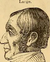Picture 94 of 693 from New physiognomy (1867), leaf 142