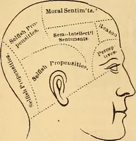 Picture 104 of 693 from New physiognomy (1867), leaf 148