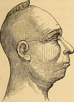 Picture 114 of 693 from New physiognomy (1867), leaf 160