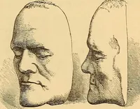Picture 126 of 693 from New physiognomy (1867), leaf 166