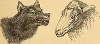 Picture 132 of 693 from New physiognomy (1867), leaf 170