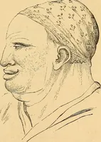 Picture 143 of 693 from New physiognomy (1867), leaf 180
