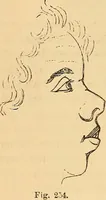 Picture 158 of 693 from New physiognomy (1867), leaf 195