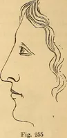 Picture 159 of 693 from New physiognomy (1867), leaf 195