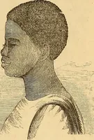 Picture 160 of 693 from New physiognomy (1867), leaf 196