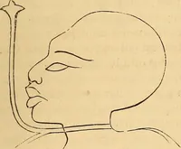 Picture 164 of 693 from New physiognomy (1867), leaf 198