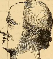 Picture 180 of 693 from New physiognomy (1867), leaf 216
