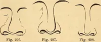 Picture 181 of 693 from New physiognomy (1867), leaf 217