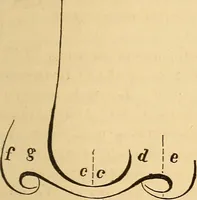Picture 182 of 693 from New physiognomy (1867), leaf 218