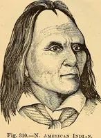 Picture 190 of 693 from New physiognomy (1867), leaf 225
