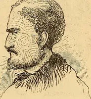 Picture 191 of 693 from New physiognomy (1867), leaf 226