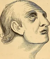 Picture 205 of 693 from New physiognomy (1867), leaf 237