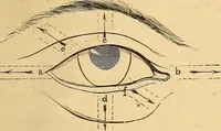 Picture 206 of 693 from New physiognomy (1867), leaf 238