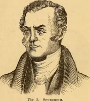 Picture 4 of 693 from New physiognomy (1867), leaf 24