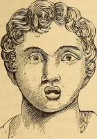 Picture 212 of 693 from New physiognomy (1867), leaf 240