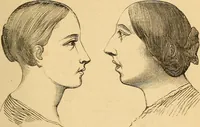 Picture 231 of 693 from New physiognomy (1867), leaf 266