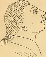 Picture 233 of 693 from New physiognomy (1867), leaf 267