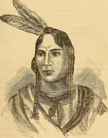 Picture 241 of 693 from New physiognomy (1867), leaf 272